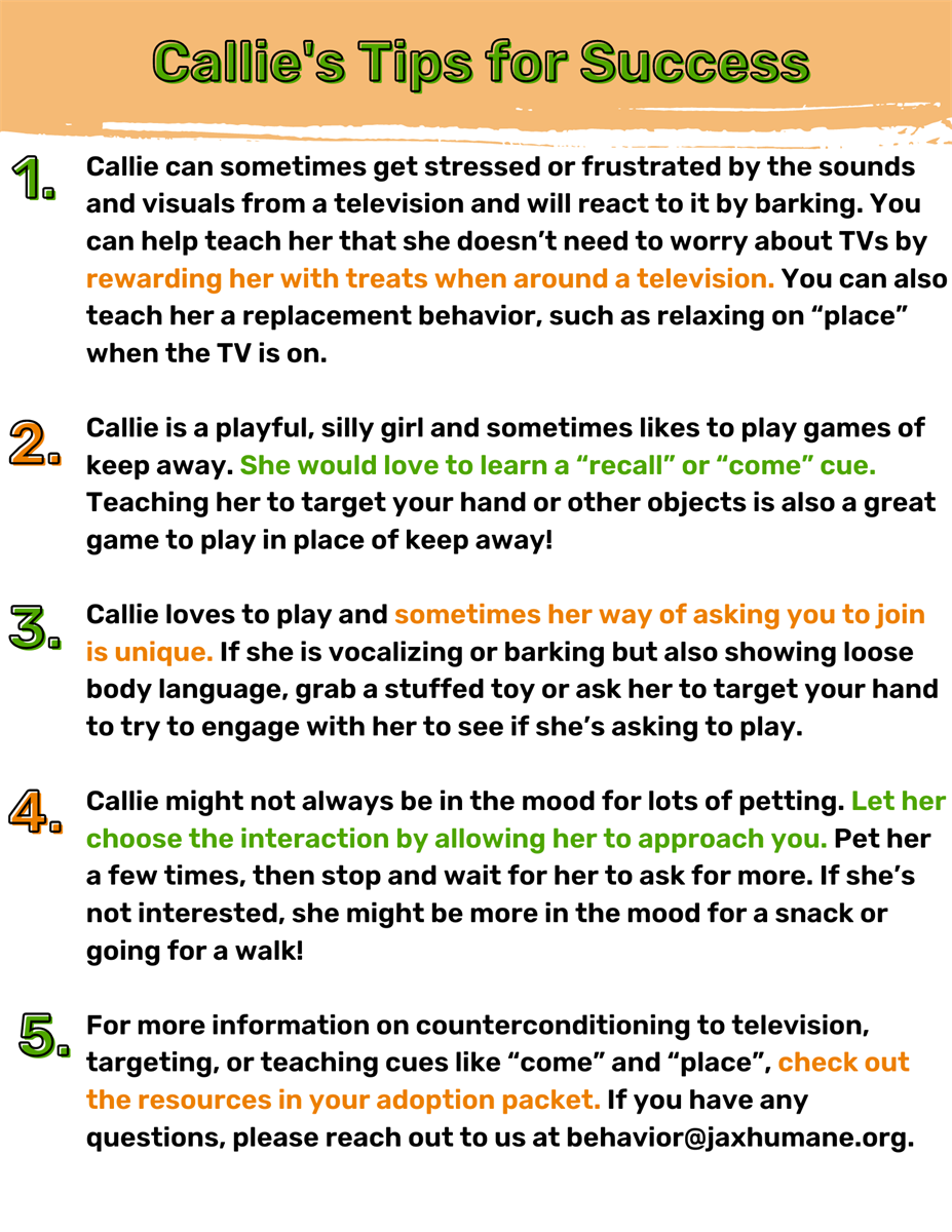 Tips for Success Sheet to Help New Adopters